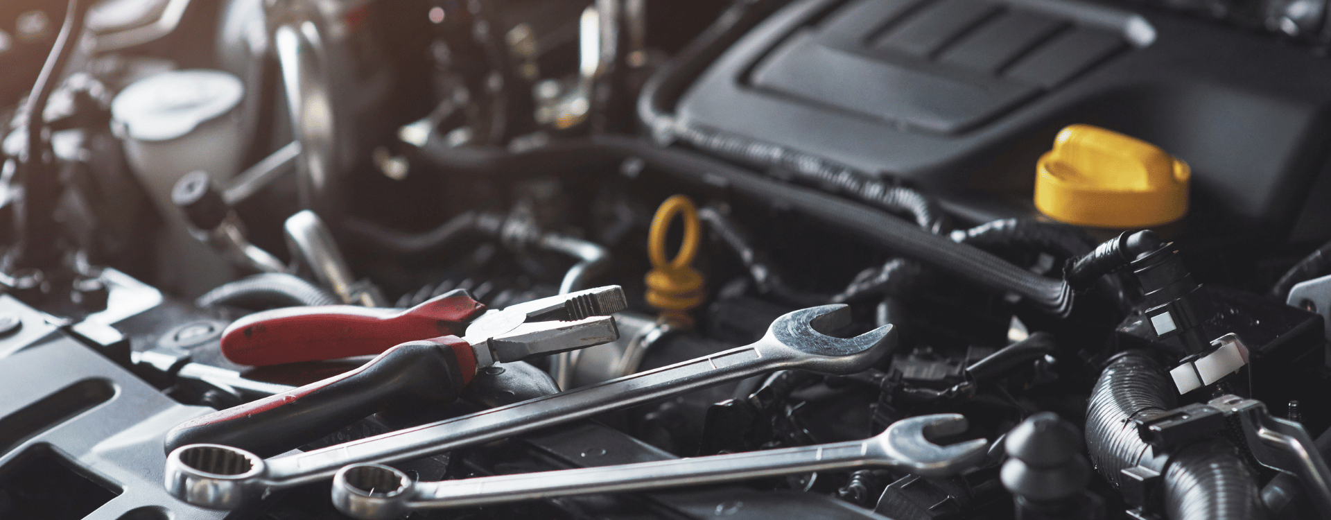 Dr Roadworthy Header 1 5